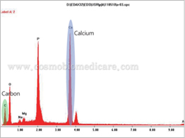 Energy-Dispersive X-ray Spectroscopy data